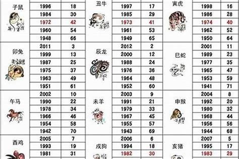 2003年出生属什么|03年属啥 03年属啥生肖